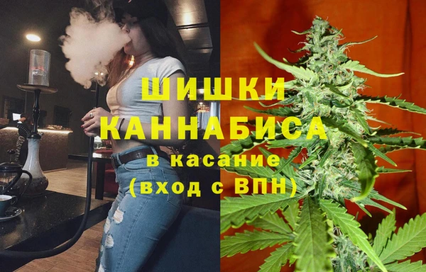 PSILOCYBIN Баксан