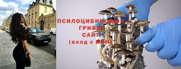PSILOCYBIN Баксан