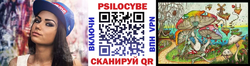 Галлюциногенные грибы Cubensis  omg вход  Волгодонск 